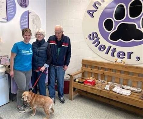 huntley animal adoption